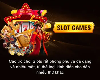 Hoàn tất đăng nhập 666win casino